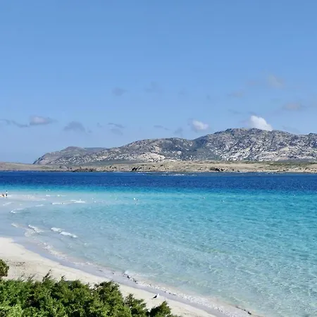Isa-residence With Swimming-pool In Near The Famous La Pelosa-beach *