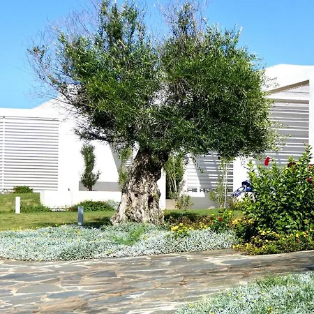 アパートホテル Isa-residence With Swimming-pool In Near The Famous La Pelosa-beach スティンティーノ